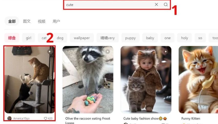 Tìm và chọn video muốn tải