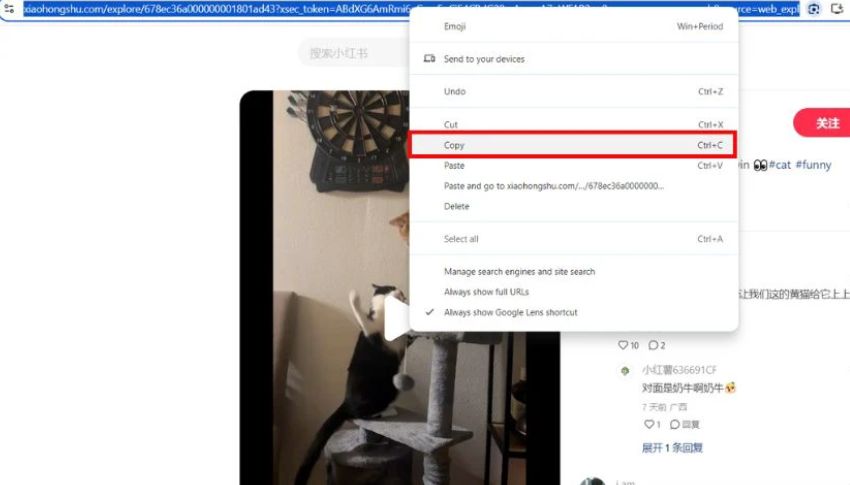 Sao chép link liên kết của video muốn tải