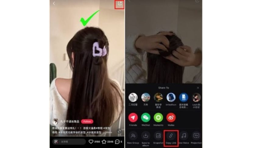 Copy link video Xiaohongshu