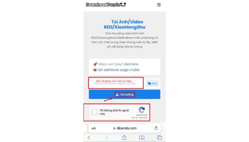 Dán link vào ô nhập liệu của Download Panda và chọn tải xuống
