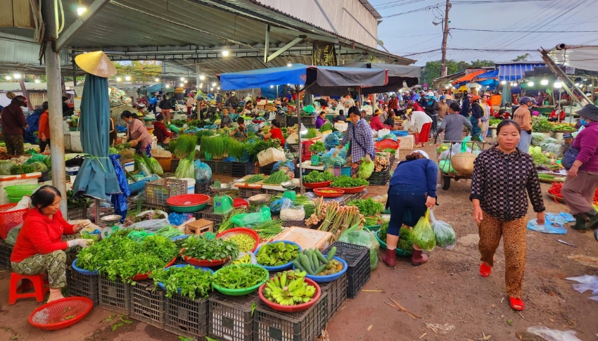 Những loại hàng hoá chợ đầu mối Hà Nội cung cấp