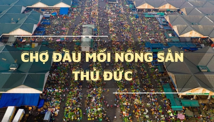 Chợ Đầu Mối Nông Sản Thủ Đức là chợ đầu mối rau củ quả tphcm lớn nhất