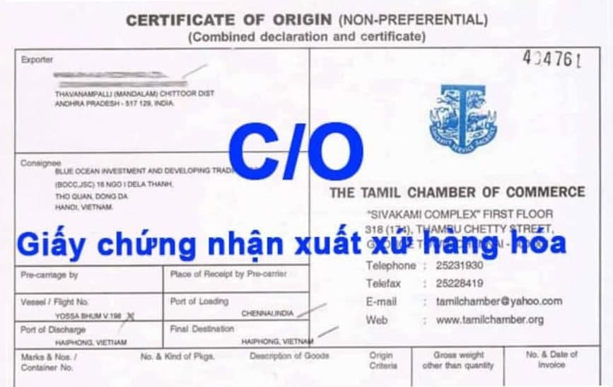 co-la-gi.jpg