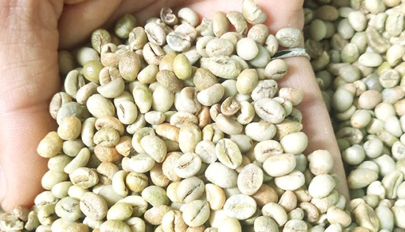 gui-hang-ca-phe-robusta-che-bien-uot.jpg