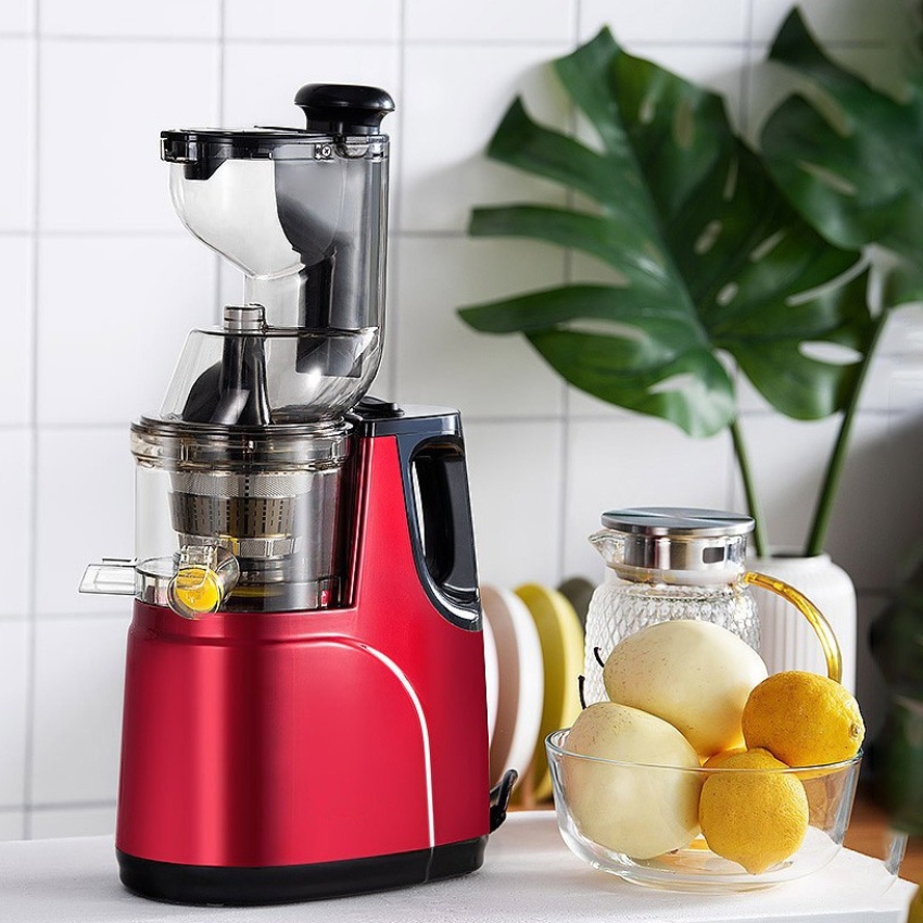 Máy ép chậm Hongxin chất lượng cao