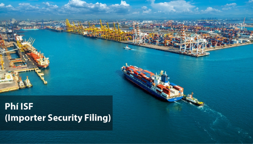 Thông tin từ nhà nhập khẩu hoặc nhà cung cấp
