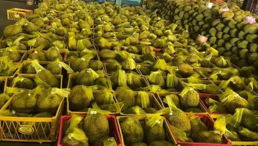 tieu-chuan-gui-hang-sau-rieng-di-trung-quoc.jpg
