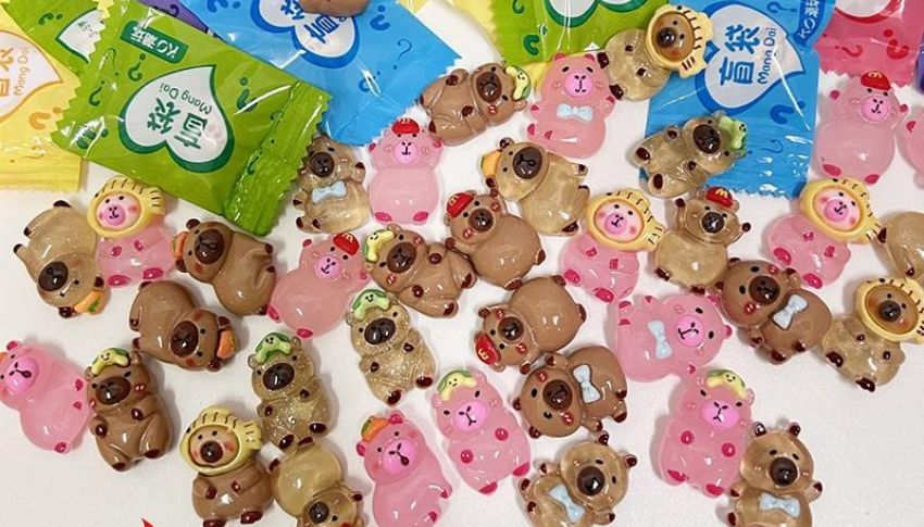 Túi mù Capybara dễ thương được nhiều bạn trẻ săn đón