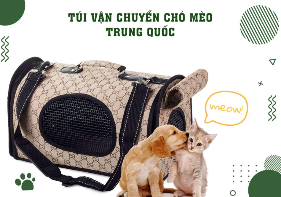 tui-van-chuyen-cho-meo.jpg
