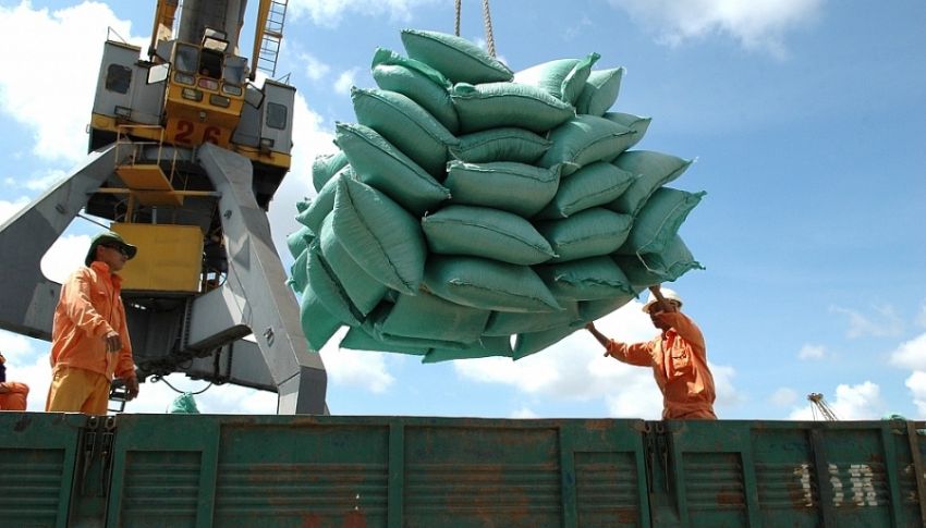 Lưu ý trong thủ tục thủ tục gửi gạo sang Trung Quốc