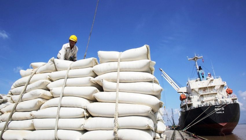 Quy trình thủ tục xuất khẩu gạo đi trung quốc