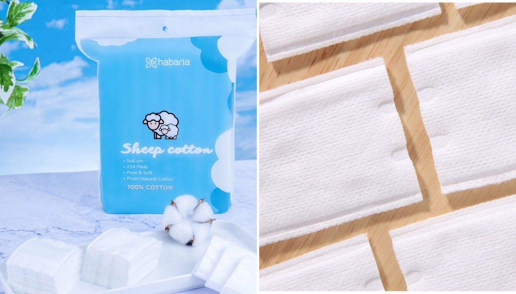 bông tẩy trang từ Trung Quốc hãng Sheep Cotton Habaria