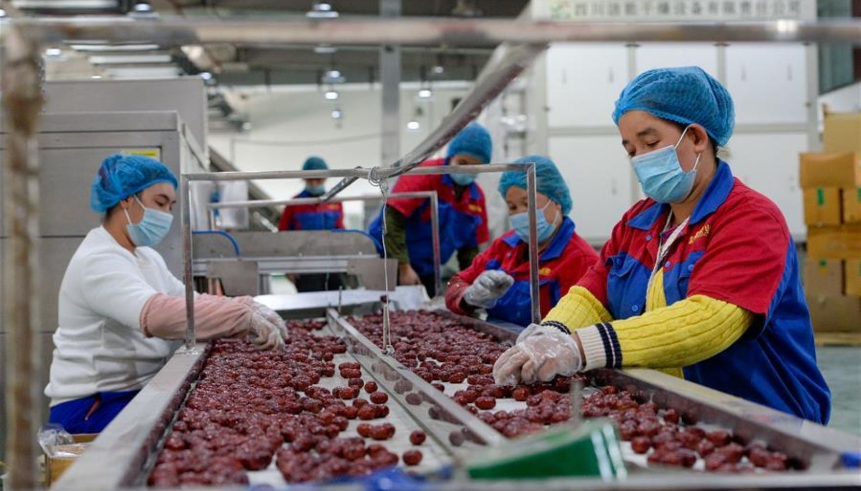 Tổng hợp lưu ý quan trọng khi nhập táo đỏ từ Trung Quốc