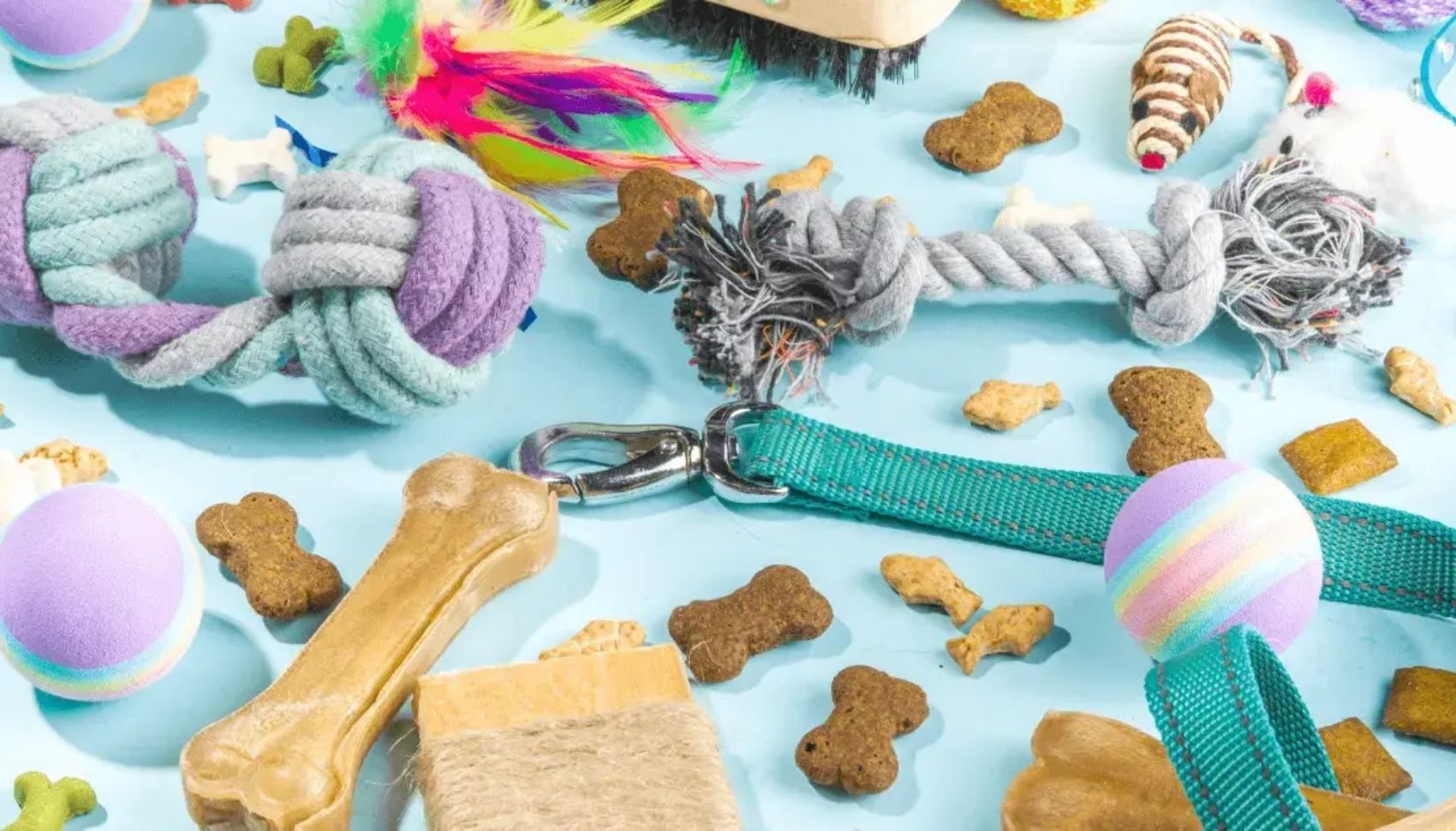 Ý tưởng kinh doanh đồ cũ chất lượng cho thú cưng