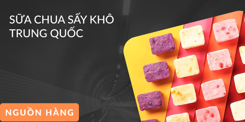 Sữa chua sấy khô Trung Quốc
