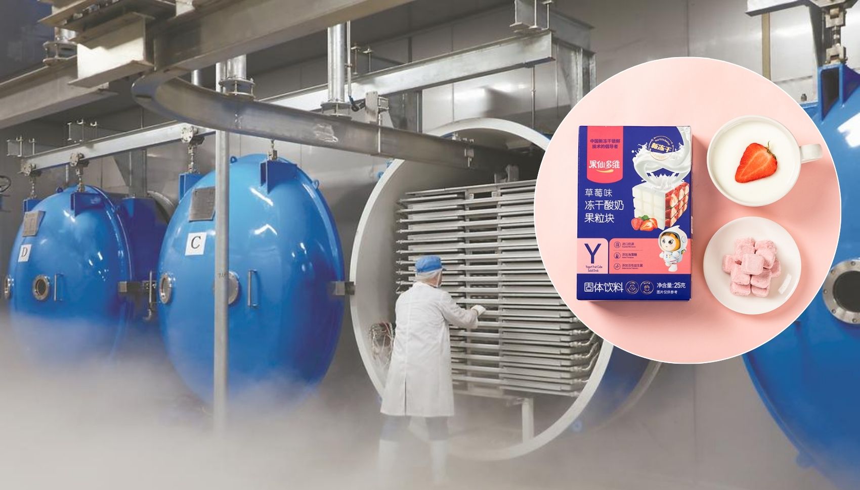 Lấy sỉ sữa chua sấy khô Trung Quốc tại xưởng sản xuất